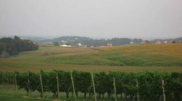 Pennsylvania Wine Society