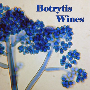 Botrytis Wines <br> Regular MEMBER <br> Event Reservation