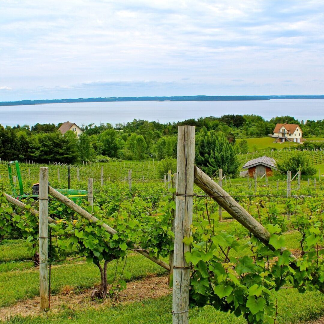 Winery,With,Lake,Views,In,Northern,Michigan