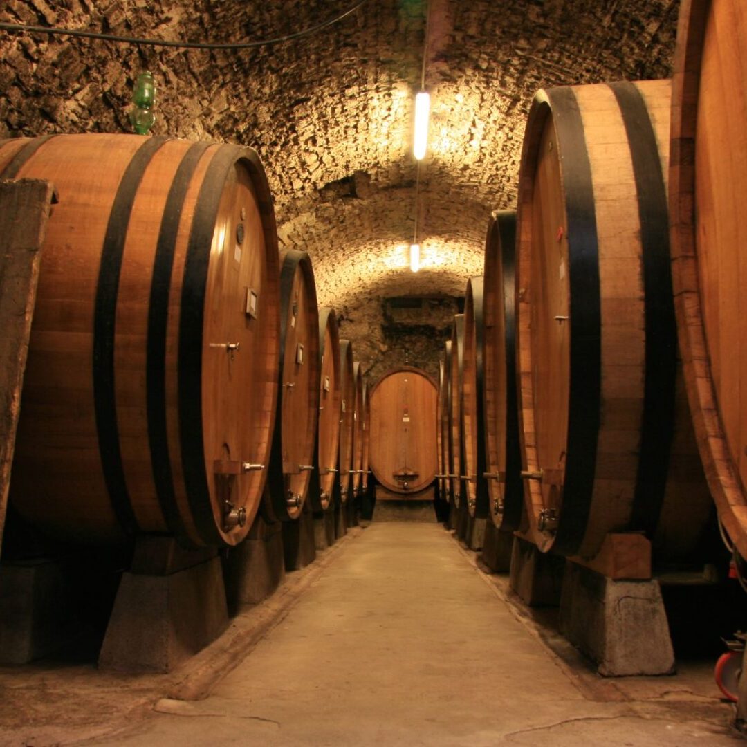 Wine barrels in Italy cellar